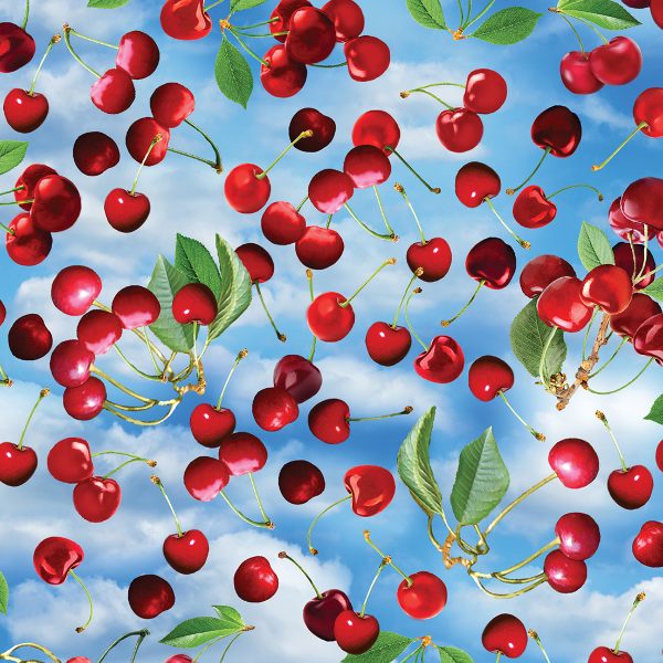 1255 Sweet Cherries Blue Cherry Hill (3026)