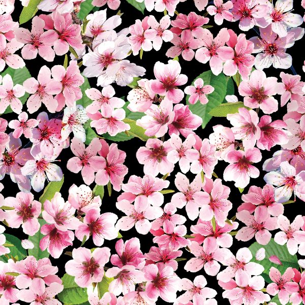 1312 Cherry Blossoms Black Cherry Hill (3026)