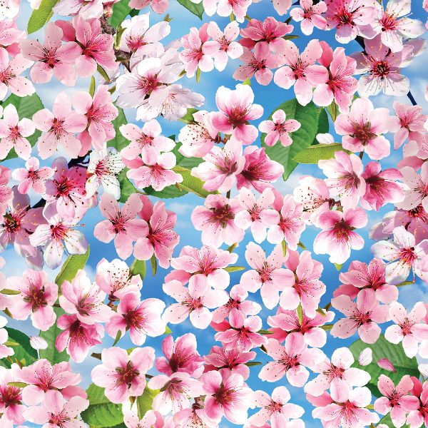 1355 Cherry Blossoms Blue Cherry Hill (3026)