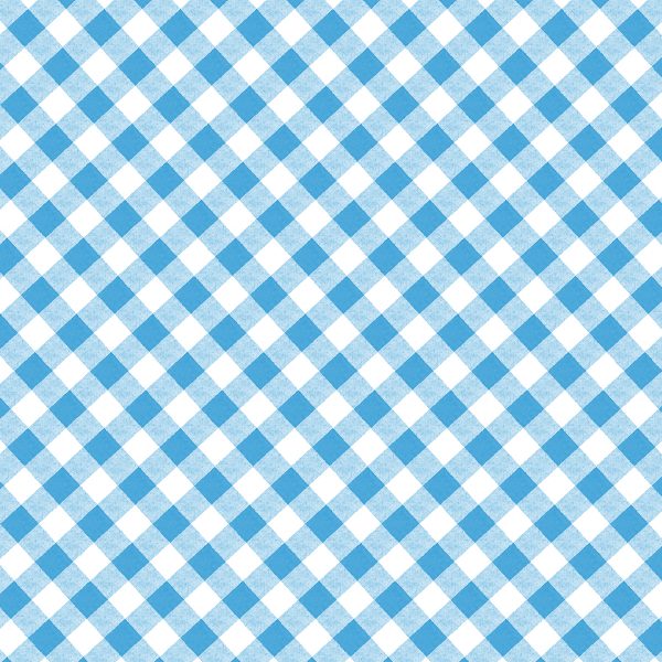 2155 Sweet Gingham Blue Cherry Hill (3026)